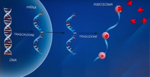 Le aLtre notizie di Euroroma