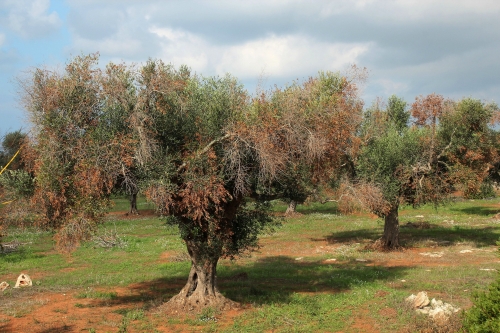 Le aLtre notizie di Euroroma