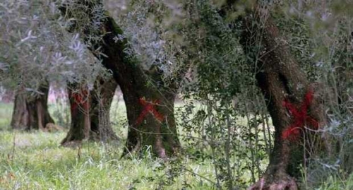 Le aLtre notizie di Euroroma