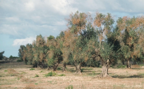 Le aLtre notizie di Euroroma