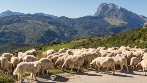 Le aLtre notizie di Euroroma