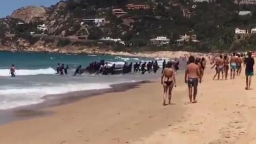 Le video notizie di Euroroma